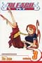 Bleach, Volume 3