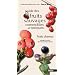 Guide des fruits sauvages - fruits charnus