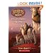 The Lost Empire Of Koomba (Turtleback School & Library Binding Edition) (Secrets of Droon (Prebound Unnumbered))