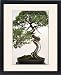 Framed Prints of Chelsea Flower Show from Prints Prints Prints
