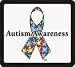 Autism Ribbon Toll Pass Holder