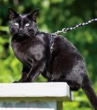 Lupine 1/2 Inch H Style Harness-12-20- Silver Charm Pattern
