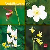 Wildflowers 2012 Square 12X12 Wall Calendar