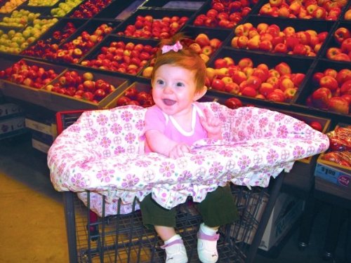 Buy Low Price Cozy Caden Lane 1GIRLMVSCC The Shopping Cart Cover in Pink Morrocan 1GIRLMVSCC