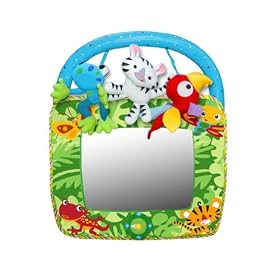Click here to buy Fisher-Price Rainforest Auto Mirror by Fisher-Price.