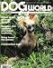 Dog World Magazine September 1988 Chinese Crested (Single Back Issue)