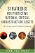 Strategies for Protecting National Critical Infrastructure Assets: A Focus on Problem...