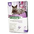 Advantage for Cats For cats over 9 lbs., 4ds/4 months