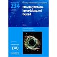 Planetary Nebulae in our Galaxy and Beyond (IAU S234) (Proceedings of the International Astronomical Union Symposia and... by Roberto H. M�ndez and Michael J. Barlow