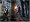 The Witcher (PC DVD)