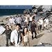 Lost (Group on Beach) Glossy Photograph - TV - 9x11