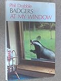 Badgers at my window