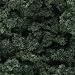 Woodland Scenics Dark Green Bushes Clump-Foliage (32 oz. Shaker)