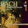 Bach: Brandenburg Concertos / Hunteler