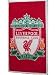 Kitchen & Housewares : Liverpool FC Classic Floor Rug - Special Low Price