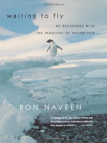 waiting to fly my escapades with the penguins of antarctica