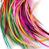 10 Colors Natural Stiff Goose Feather Hair Extensions Blue Fushia Baby Blue Brown Red Purple Green Ocean Blue White Black
