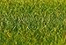 Faller 180485 Ground Cover Fibers Grass Scenery and Accessories