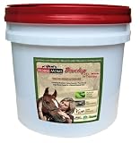 Develop Horse Supplements - Complete Natural - Organic Equine Supplements for your Horse (Young 24+ months In Training) All in 1 horse care with herbs - plant based nutrition