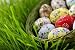 Easter Egg in Wicker Basket - 36
