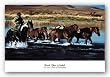 Nice Work by Paul Van Ginkel 36"x20" Art Print Poster