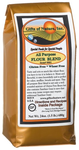 Gifts Of Nature All Purpose Flour Blend, 24-Ounce Bags (Pack of 6) by All-Purpose Flours