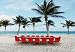 Meeting Job on Beach Palm - 24W x 17H - Peel and Stick Wall Decal by Wallmonkeys