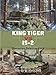 King Tiger vs IS-2: Operation Solstice 1945 (Duel, 37)