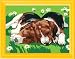 Ravensburger 296460 Verschmuste Welpen