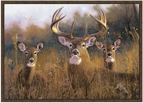 Custom Printed Rugs Home Accessories, Multi