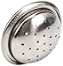 Wilbur Curtis WC-2907 Stainless Steel Sprayhead, RU Series