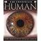 Human & Reiki
