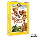 Big Red (The Wonderful World of Disney)