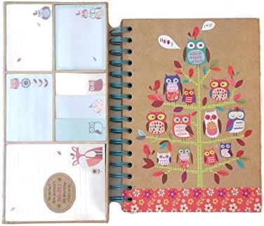 Owl Journal and Sticky Note Set: Lined Journal and 350 Fun Sticky Notes in Different Sizes