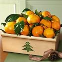 High Sierra Christmas Mandarins Crate Fruit Gift