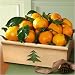 High Sierra Christmas Mandarins Crate Fruit Gift
