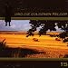 Die Goldenen Felder (15)