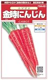 金時にんじん　1袋（約500粒）