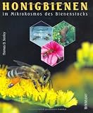 Die Honigfabrik: im Mikrokosmos des Bienenstocks (German Edition)