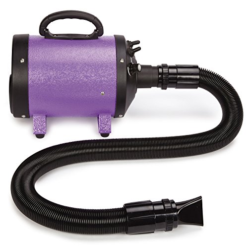 Master Equipment FlashDry Stand Pet Dryer, Purple All Beauty Secret