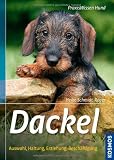 Dackel: Auswahl, Haltung, Erziehung, Beschäftigung
