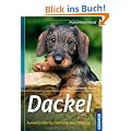 Dackel: Auswahl, Haltung, Erziehung, Besch�ftigung