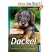 Dackel: Auswahl, Haltung, Erziehung, Besch�ftigung