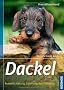 Dackel: Auswahl, Haltung, Erziehung, Besch�ftigung