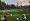 Tiger Woods PGA Tour 11