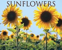 Sunflowers 2009 Calendar