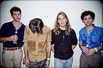 Image of The Vaccines