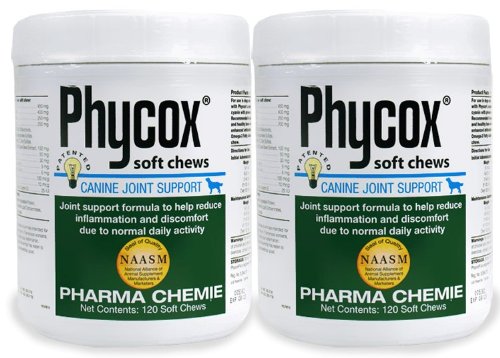 2-PACK PhyCox Soft Chews (240 Soft Chews)