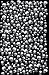 Skull (Glow) Flocked Blacklight Poster Print - 24" X 36"