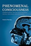 Phenomenal Consciousness: Understanding the Relation Between Experience and Neural Processes in the Brain